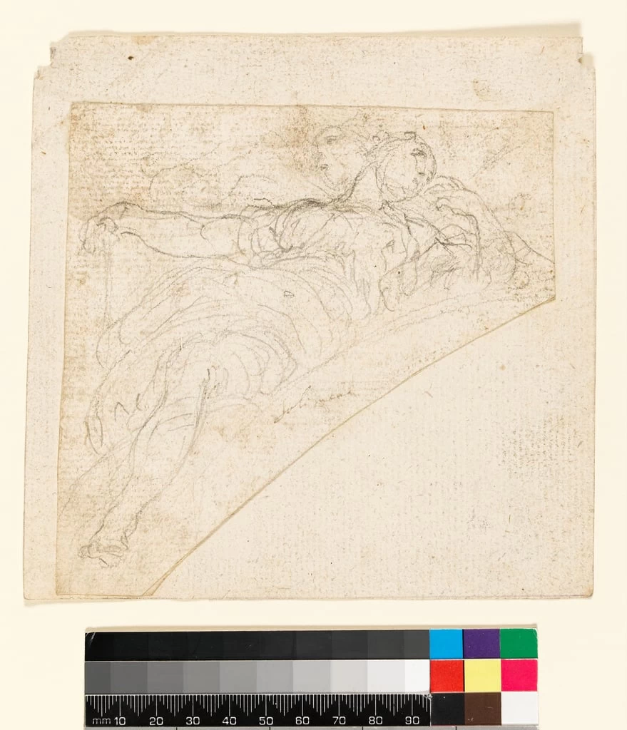 Studio di figura femminile - Fitzwilliam Museum, University of Cambridge